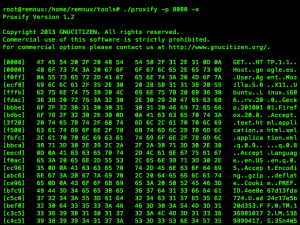Proxify proxy funcional 19 Proxify proxy funcional