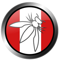 Nos vemos en Bolivia y Perú 9 Registro Capitulo Perú