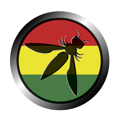 Nos vemos en Bolivia y Perú 8 Registro Capitulo Bolivia