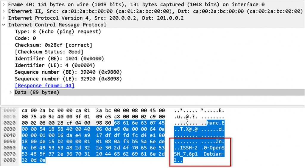 Creando un túnel IPv4 sobre ICMP para bypassear controles