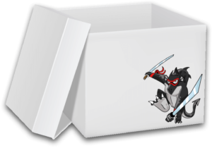 Hacking Ético White Box. DragonJAR.