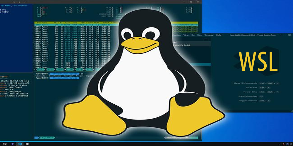 Kali Linux en Windows Subsystem Linux WSL