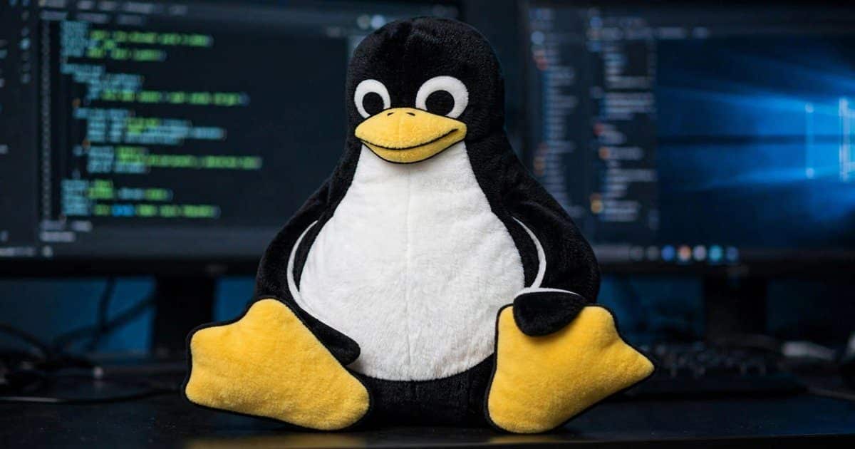 Kali Linux en Windows Subsystem Linux WSL 16 Kali Linux en Windows Subsystem Linux WSL